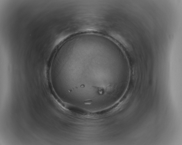 X0000110991404200906261440