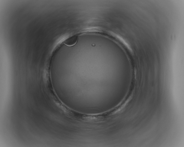 X0000110991405200906261440