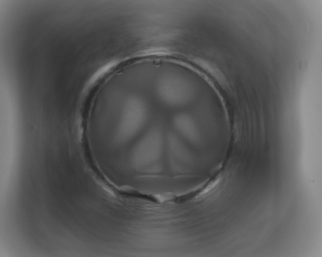 X0000110991406200906261440