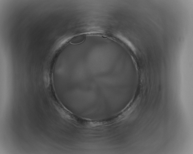 X0000110991407200906261440