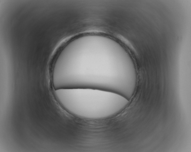 X0000110991408200906261440