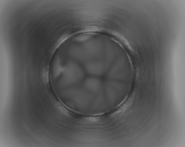 X0000110991409200906261440