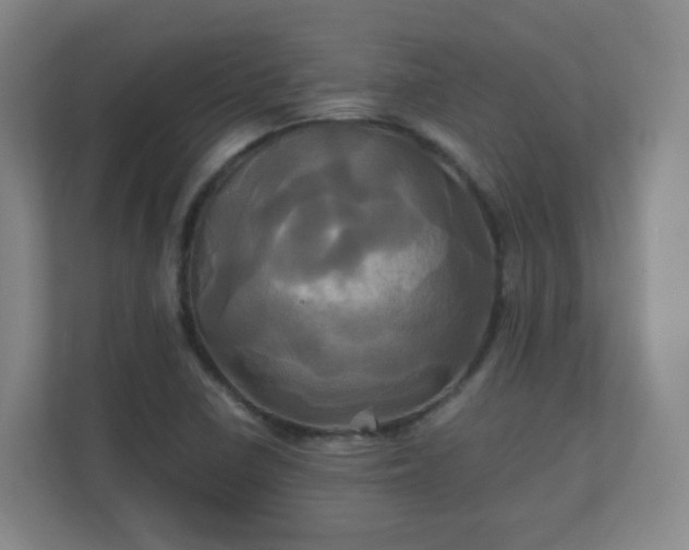 X0000110991410200906261440