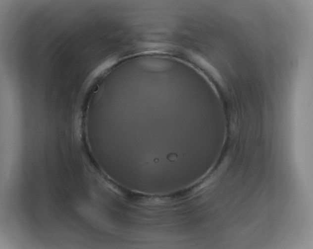 X0000110991411200906261440