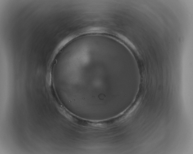 X0000110991413200906261440