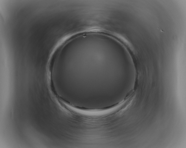 X0000110991414200906261440