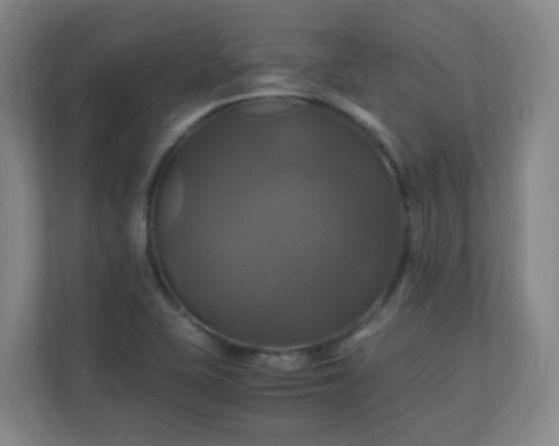 X0000110991415200906261440