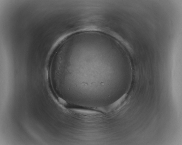 X0000110991416200906261440