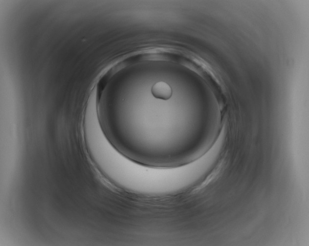 X0000110991417200906261440