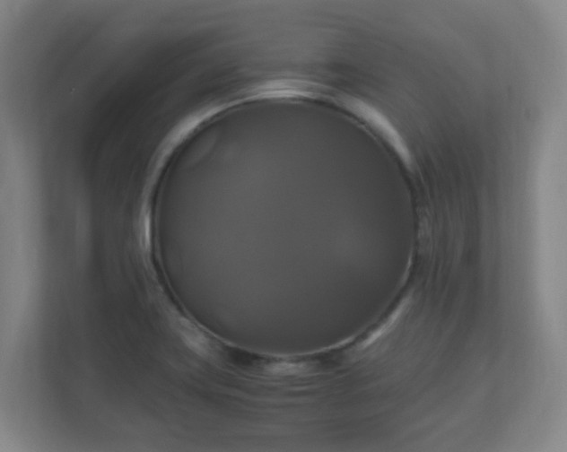 X0000110991419200906261440