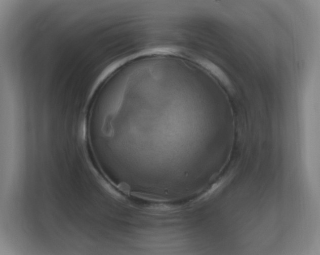 X0000110991420200906261440