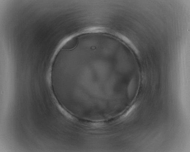 X0000110991421200906261440