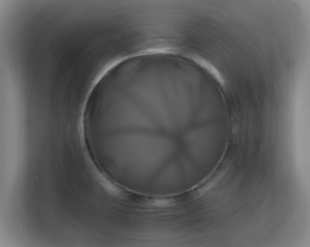 X0000110991423200906261440