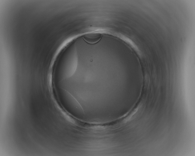 X0000110991424200906261440