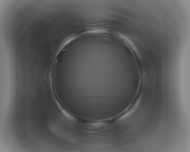 X0000110991425200906261440