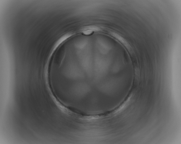 X0000110991426200906261440