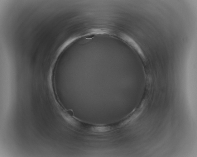 X0000110991427200906261440