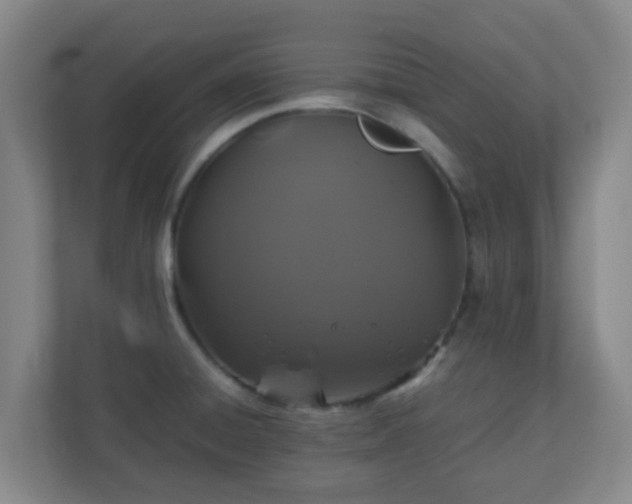 X0000110991428200906261440