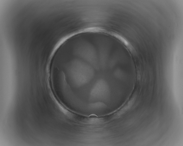 X0000110991430200906261440