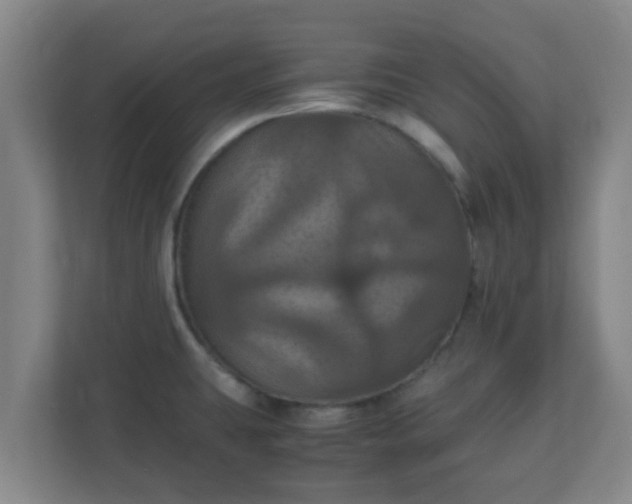 X0000110991431200906261440