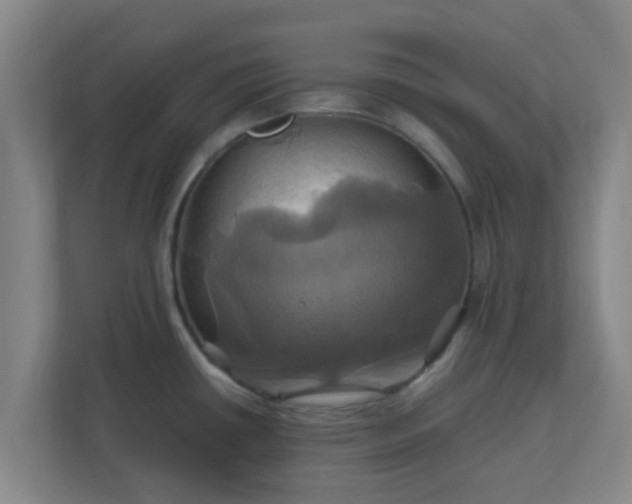 X0000110991434200906261441