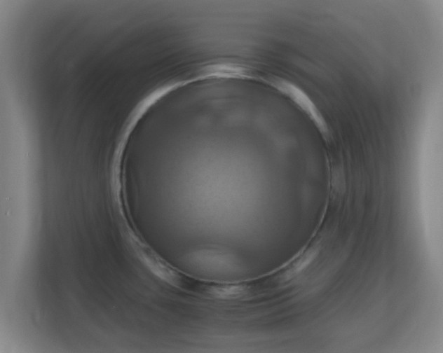 X0000110991435200906261441