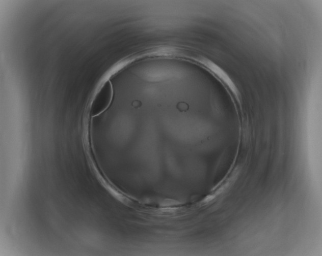 X0000110991437200906261441
