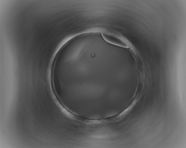 X0000110991438200906261441