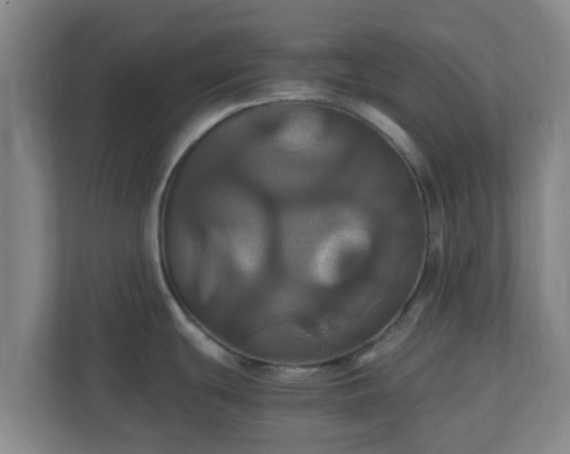 X0000110991439200906261441