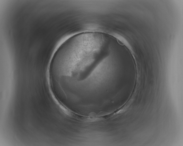 X0000110991440200906261441