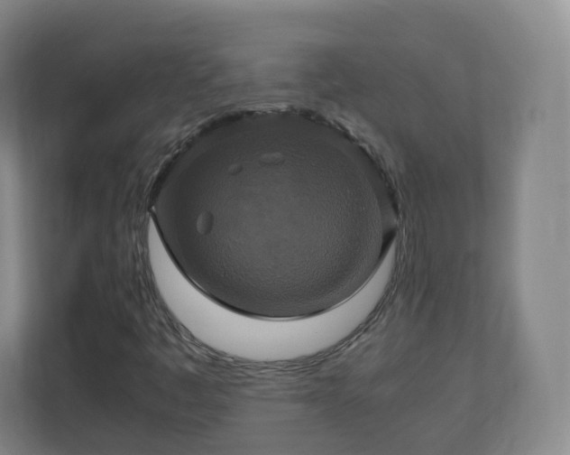 X0000110991445200906261440