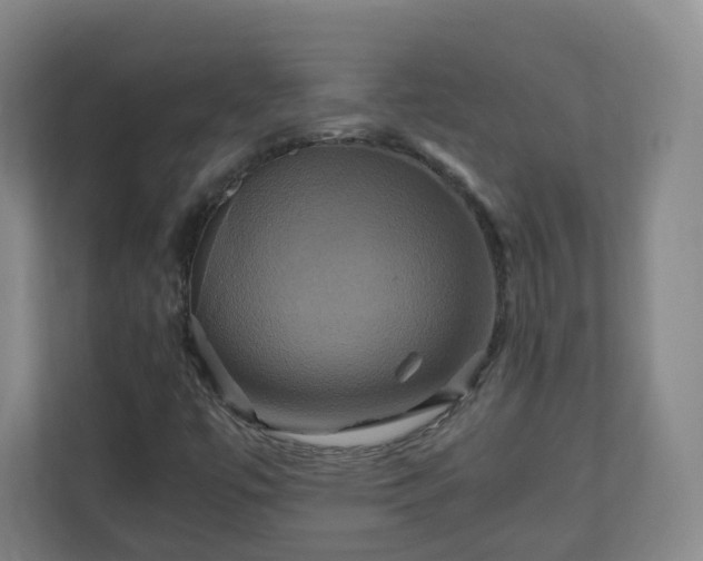 X0000110991447200906261440