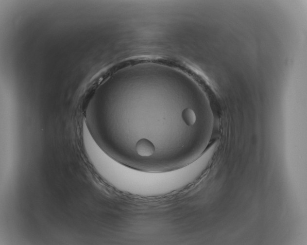 X0000110991448200906261440