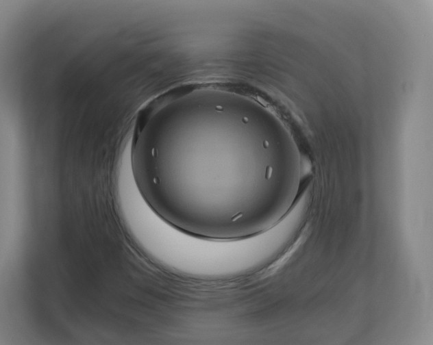 X0000110991449200906261440