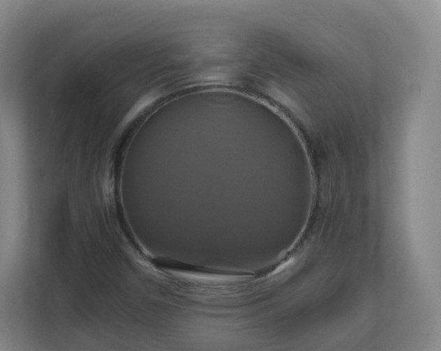 X0000110991450200906261440