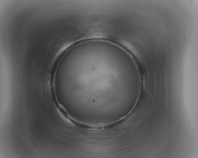 X0000110991452200906261440