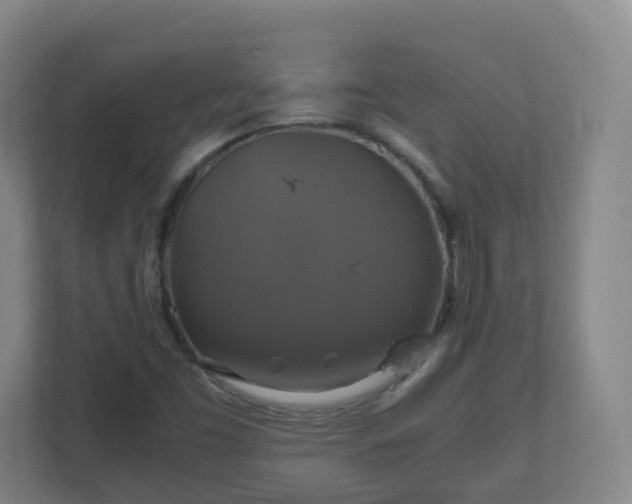 X0000110991453200906261440