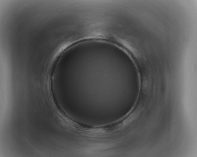 X0000110991455200906261440
