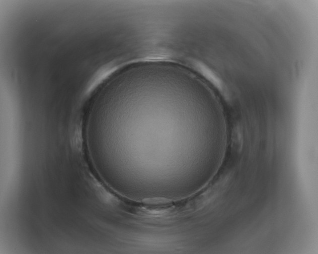 X0000110991456200906261440