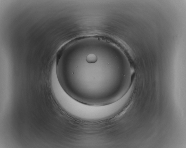 X0000110991457200906261440