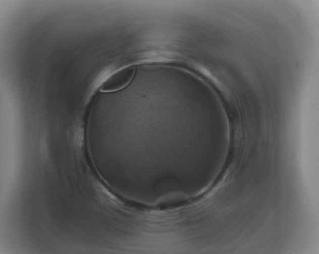 X0000110991459200906261440