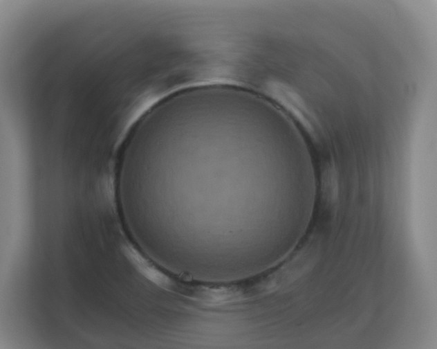 X0000110991460200906261440