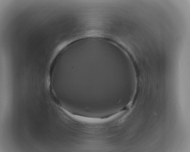 X0000110991461200906261440