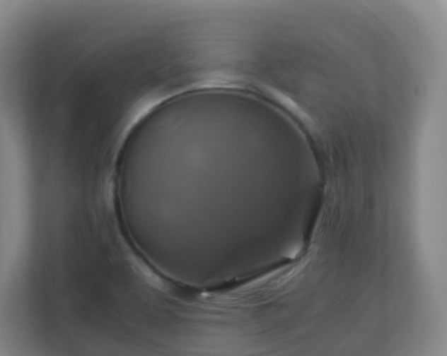 X0000110991463200906261440