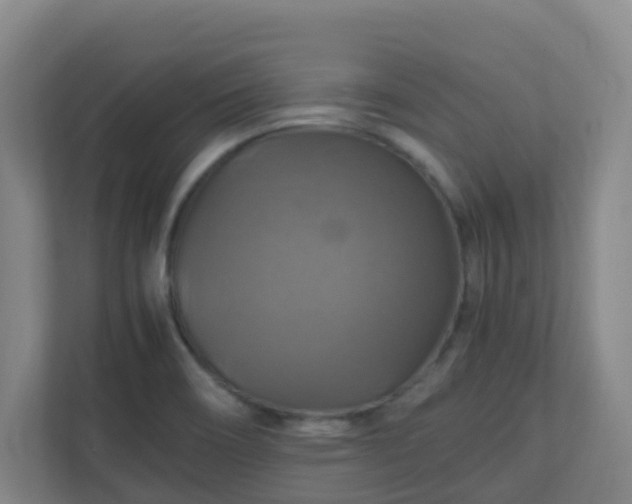 X0000110991466200906261439