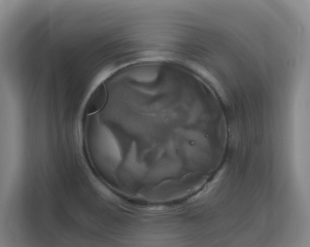 X0000110991467200906261439