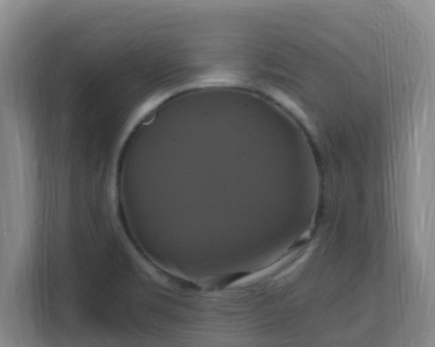 X0000110991469200906261439