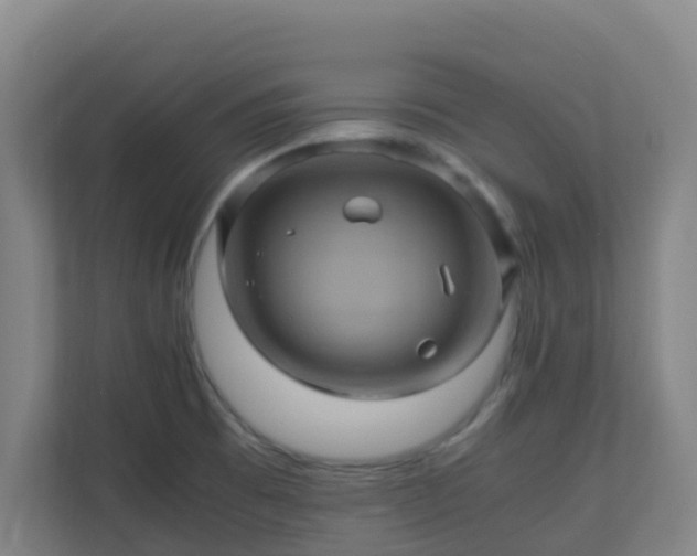 X0000110991473200906261439