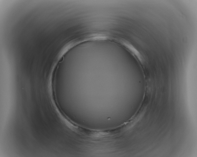 X0000110991475200906261439