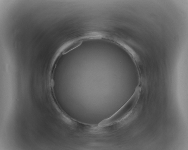 X0000110991477200906261439